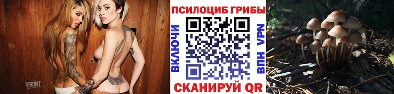 купить наркотики цена Рославль Псилоцибиновые грибы GOLDEN TEACHER